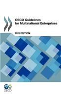 OECD Guidelines for Multinational Enterprises