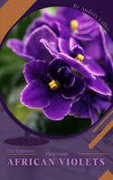 African Violets