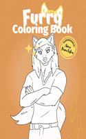 Furry Coloring Book