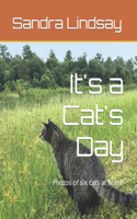 It's a Cat's Day