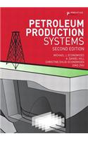 Petroleum Production Systems