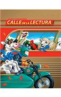 Reading 2011 Spanish Student Edition (Hc) Grade 5.1