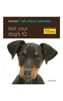 Test Your Dog's IQ