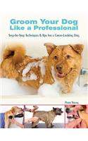 Groom Your Dog Like a Professional