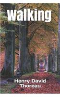 Walking