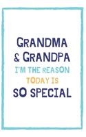 Grandma & Grandpa I'm The Reason Today Is So Special