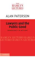 Lawyers and the Public Good