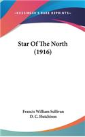 Star Of The North (1916)