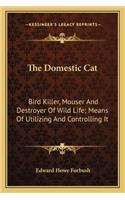 Domestic Cat