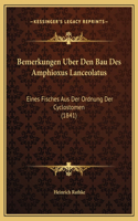 Bemerkungen Uber Den Bau Des Amphioxus Lanceolatus