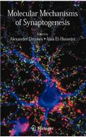 Molecular Mechanisms of Synaptogenesis