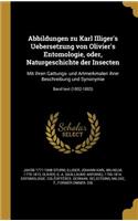 Abbildungen Zu Karl Illiger's Uebersetzung Von Olivier's Entomologie, Oder, Naturgeschichte Der Insecten