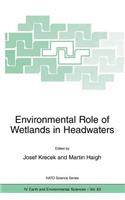 Environmental Role of Wetlands in Headwaters