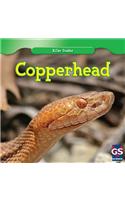 Copperhead