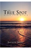 The True Spot
