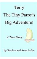 Terry The Tiny Parrot's Big Adventure!