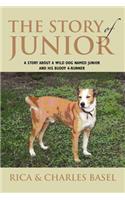 The Story of Junior