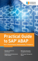 Practical Guide to SAP ABAP: Part 2: Performance, Enhancements, Transports