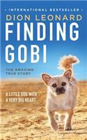 Finding Gobi