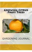 Growing Citrus Fruit Trees