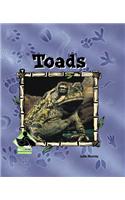 Toads