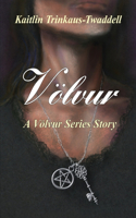 Völvur: A Völvur Series Story