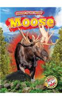 Moose