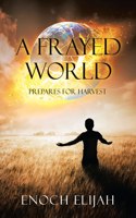 Frayed World