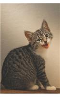 Singing Kitten Journal