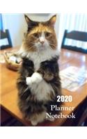 2020 Planner Notebook: Funny Calico Cat Planner Book With Monthly and Weekly Calendars, Monthly Budget Sheet and Weekly Meal Plan