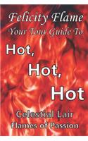 Felicity Flame Your Tour Guide to Hot Hot Hot Celestial Lair Flames of Passion