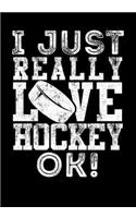 Ice Hockey Season Stats Tracker I Just Really Love Hockey OK!: Kids Hockey Analytics For Boys & Girls (Defencemen, Centers or Wingers)