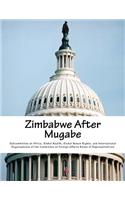 Zimbabwe After Mugabe
