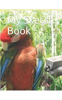 My Sketch Book: Macaw Parrot Themed My Sketch Book 100 Pages Measures 8.5 X 11