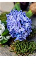 Hyacinth Notebook