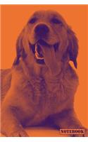 Notebook: Golden Retriever Dog Family Pet Notepad (Orange)
