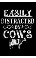 Easily Distracted by Cows