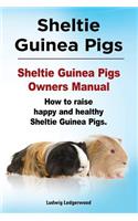 Sheltie Guinea Pigs. Sheltie Guinea Pigs Owners Manual. How to raise happy and healthy Sheltie Guinea Pigs.