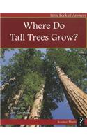 Where Do Tall Trees Grow?