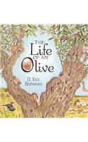 The Life of an Olive