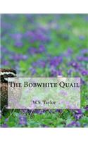 The Bobwhite Quail
