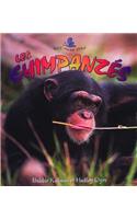 Les Chimpanzes
