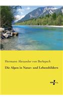 Die Alpen in Natur- und Lebensbildern