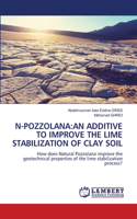 N-Pozzolana