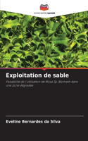 Exploitation de sable