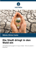 Die Stadt dringt in den Wald ein