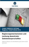 Regierungsmechanismen und Leistung dezentraler Gebietskörperschaften