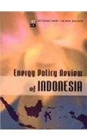 Energy Policy Review of Indonesia