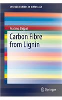 Carbon Fibre from Lignin