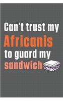 Can't trust my Africanis to guard my sandwich: For Africanis Dog Breed Fans